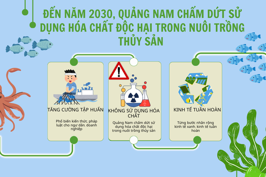 Quảng Nam chấm dứt sử dụng hóa chất độc hại trong nuôi trồng thủy sản vào năm 2030