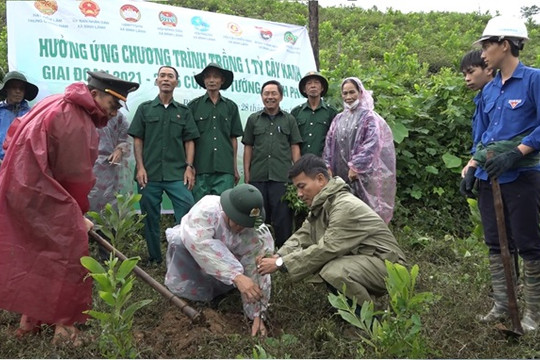 Bình Lãnh phát động trồng cây gây rừng tại tiểu khu 483
