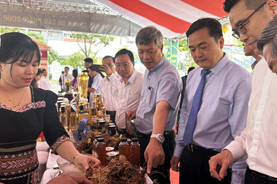 Quảng Nam kết nối giao thương chủ thể OCOP với các doanh nghiệp xuất khẩu TP. Hồ Chí Minh