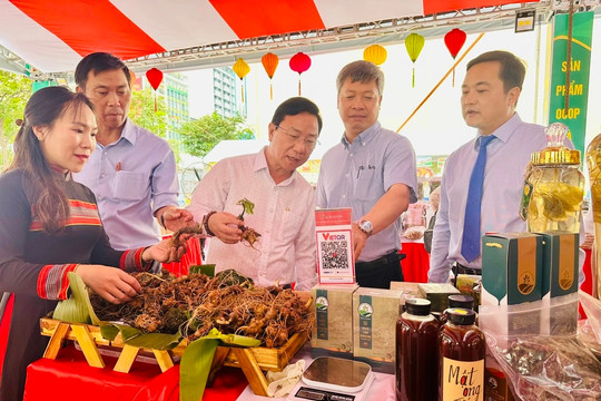 Phó chủ tịch tỉnh Quảng Nam livestream quảng bá điểm bán sâm Ngọc Linh thật 100%