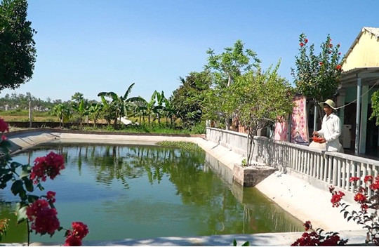 Tổ chức cuộc thi ‘‘Vườn - Tường - Đường đẹp’’ huyện Thăng Bình năm 2025