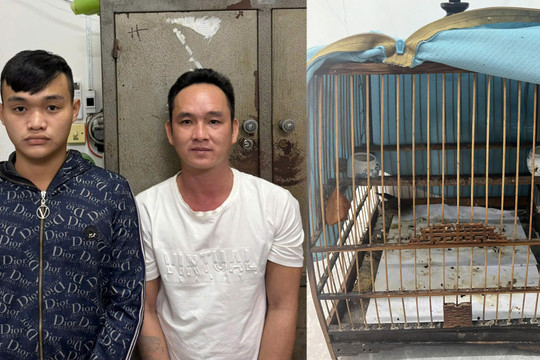 Công an huyện Duy Xuyên điều tra khám phá nhanh vụ cướp giật tài sản