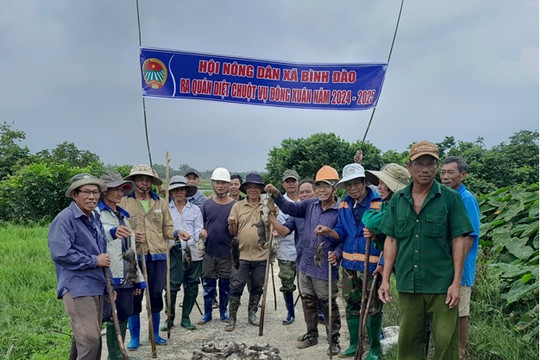 Hướng dẫn sản xuất đầu vụ đông xuân 2024 - 2025