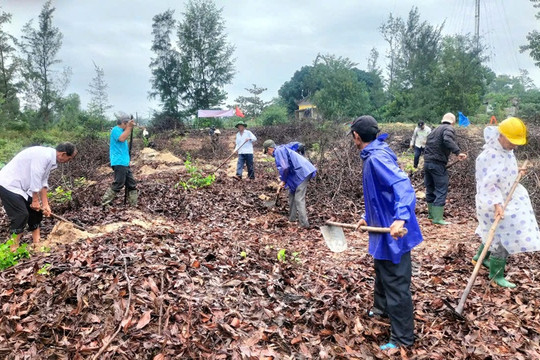 Hội Cựu chiến binh thôn Lạc Câu, xã Bình Dương ra quân trồng cây