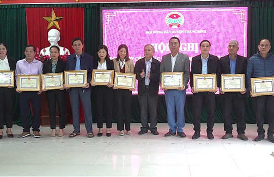 Nông dân Thăng Bình xây dựng 16,2km tuyến đường hoa