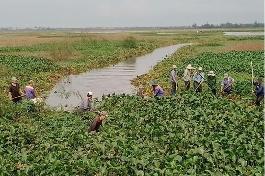 Nông dân Bình Phục ra đồng chuẩn bị sản xuất lúa đông xuân