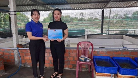 Hỗ trợ thanh niên trong phát triển kinh tế, khởi nghiệp đổi mới sáng tạo