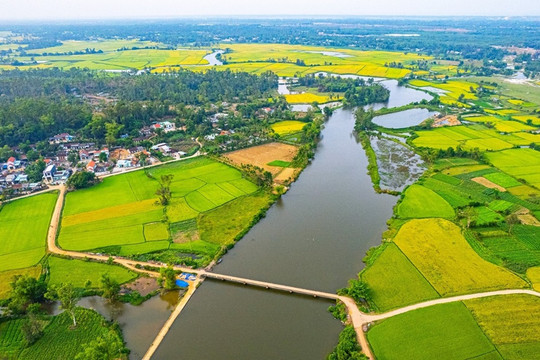 Tổ chức Cuộc thi tìm hiểu truyền thống lịch sử, văn hóa Quảng Nam; lịch sử Đảng bộ tỉnh Quảng Nam trên internet