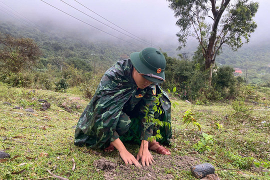 Tiểu đoàn 70 tham gia Tết trồng cây do xã Tân Hiệp tổ chức