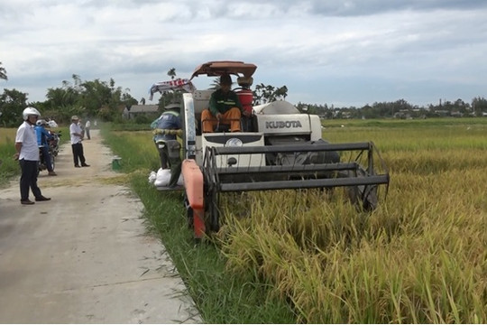 Hợp tác xã nông nghiệp Bình Đào tổ chức đại hội, nhiệm kỳ 2025 - 2030