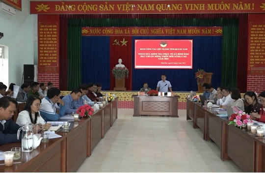 Thẩm tra kết quả xây dựng xã nông thôn mới nâng cao năm 2024 tại xã Bình Đào