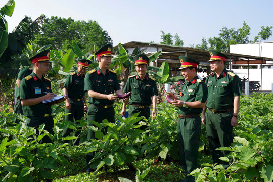 Tiểu đoàn 72, Trung đoàn 885 (Bộ CHQS tỉnh Quảng Nam) tham gia hội thi “Vườn rau xanh, sạch, đẹp gắn với chất lượng bữa ăn và sức khỏe bộ đội”