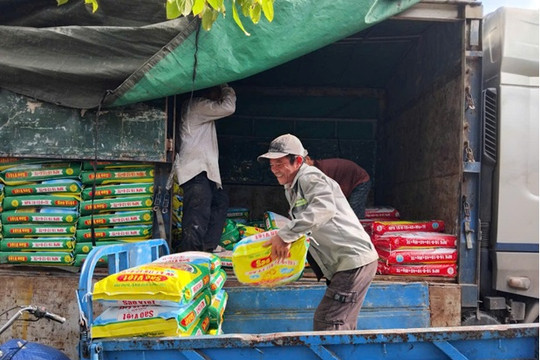 Thăng Bình cung ứng phân bón vụ trả chậm đông xuân 2024 – 2025 là 1.099 tấn