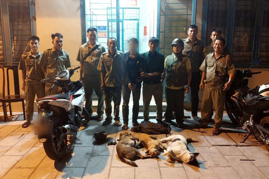 Bắt quả tang đối tượng bắt trộm chó của người dân