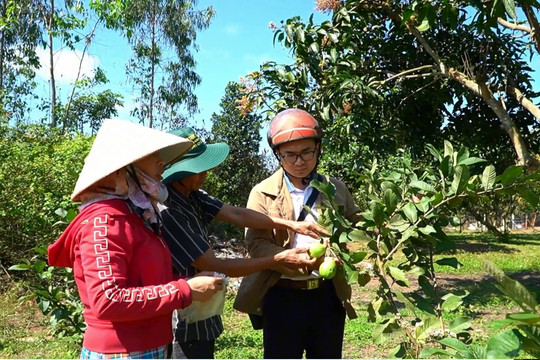 Bản tin Nông thôn mới 2025 - số 2