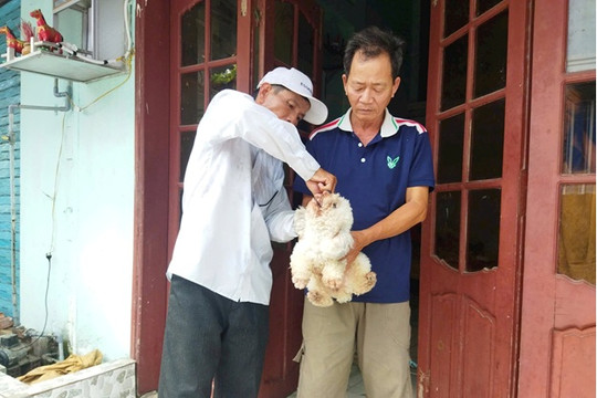 Thăng Bình ngăn ngừa bệnh dại trên chó mèo