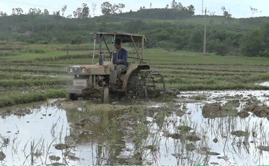 Ngày 20/5, nông dân bắt đầu gieo sạ vụ hè thu 2025