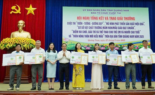 Tuyến đường ĐH2 từ Ngã tư Chăn nuôi đến trụ sở UBND xã Bình Đào đạt giải nhất tuyến đường đẹp