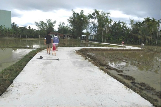 Nhân dân Bình Trung chung tay bê tông hóa giao thông nội đồng