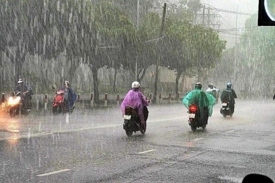 Tin cuối về đợt mưa lớn trên địa bàn tỉnh Quảng Nam