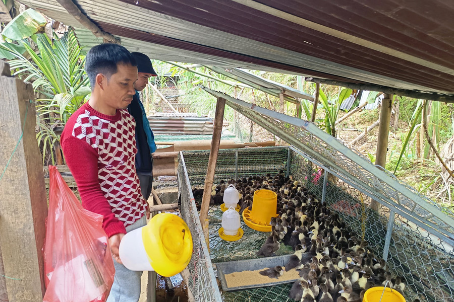 Hốih Kháy và nghị lực thoát nghèo