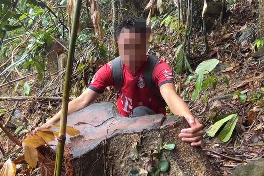 UBND tỉnh chỉ đạo khẩn trương điều tra, xử lý vụ phá rừng tại xã Phước Trà huyện Hiệp Đức