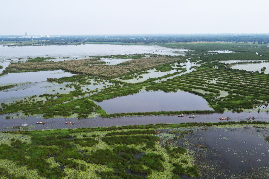 Tạm giao kết quả nghiên cứu đa dạng sinh học hồ Sông Đầm, hướng tới phát triển du lịch sinh thái