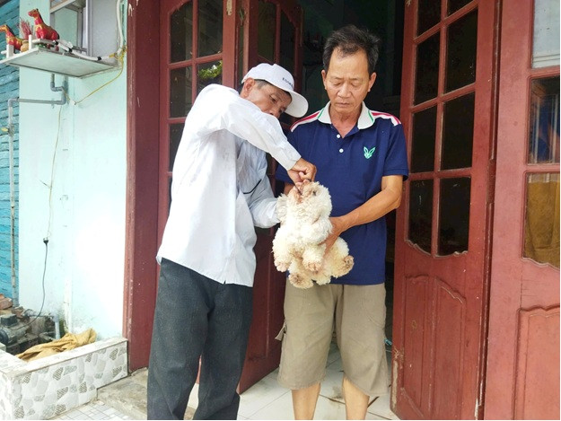 Thăng Bình ngăn ngừa bệnh dại trên chó mèo