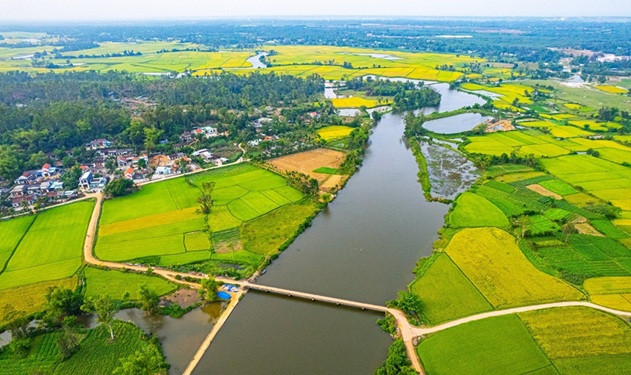 Quảng Nam ban hành phương án sắp xếp 741 đơn vị sự nghiệp công lập khi kết thúc hoạt động cấp huyện